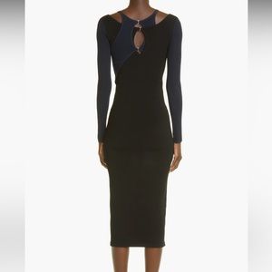Dion Lee E-Hook Overlay long sleeve dress